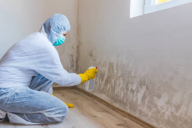 Mold Remediation specialist working in Hinsdale